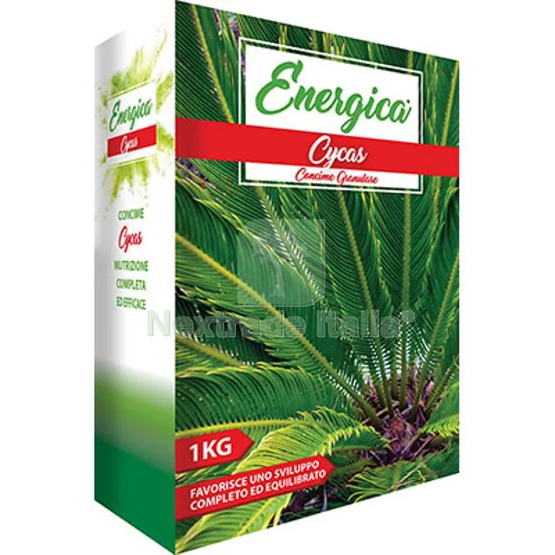 6PZ CONCIME GRANULARE CYCAS ENERGICA KG 1 — Protezione piante e sementi — rif. FERX.VIR1700732 6PZ CONCIME GRANULARE CYCAS ENERGICA KG 1 — Protezione piante e sementi — rif. FERX.VIR1700732
