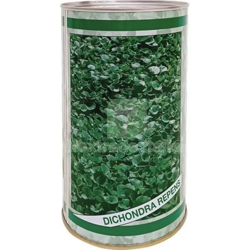 2PZ SEME PRATO DICHONDRA REPENS GR 500 — Protezione piante e sementi — rif. FERX.VIR1710101 2PZ SEME PRATO DICHONDRA REPENS GR 500 — Protezione piante e sementi — rif. FERX.VIR1710101