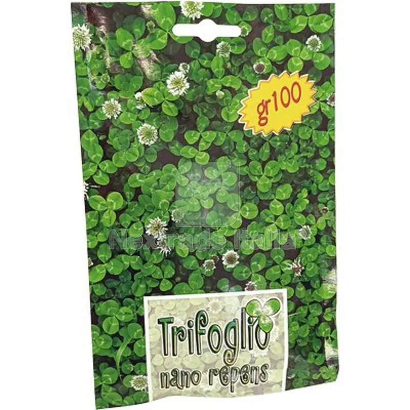 3PZ SEME PRATO TRIFOGLIO REPENS NANO GR 100 — Protezione piante e sementi — rif. FERX.VIR1710102 3PZ SEME PRATO TRIFOGLIO REPENS NANO GR 100 — Protezione piante e sementi — rif. FERX.VIR1710102