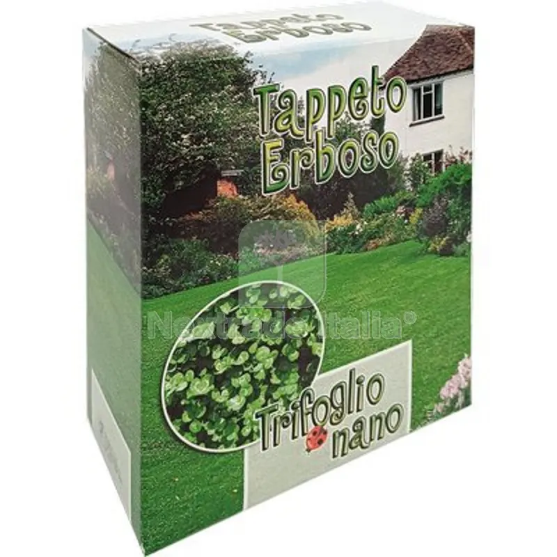 2PZ SEME PRATO TRIFOGLIO REPENS NANO GR 500 — Protezione piante e sementi — rif. FERX.VIR1710103 2PZ SEME PRATO TRIFOGLIO REPENS NANO GR 500 — Protezione piante e sementi — rif. FERX.VIR1710103