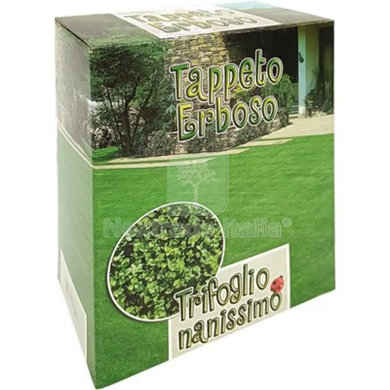 2PZ SEME PRATO TRIFOGLIO REPENS NANISSIMO GR 500 — Protezione piante e sementi — rif. FERX.VIR1710104 2PZ SEME PRATO TRIFOGLIO REPENS NANISSIMO GR 500 — Protezione piante e sementi — rif. FERX.VIR1710104