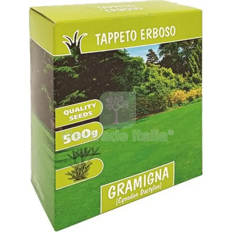 2PZ SEME PRATO GRAMIGNA GR 500 — Protezione piante e sementi — rif. FERX.VIR1710105 2PZ SEME PRATO GRAMIGNA GR 500 — Protezione piante e sementi — rif. FERX.VIR1710105