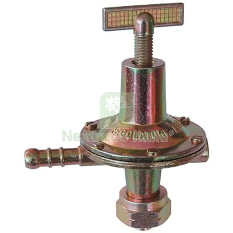 5PZ REGOLATORE GAS GPL AP KG/H 8 BAR 0/4 Ø Mm 10 — Tubi e raccordi — rif. FERX.VIR2233141
