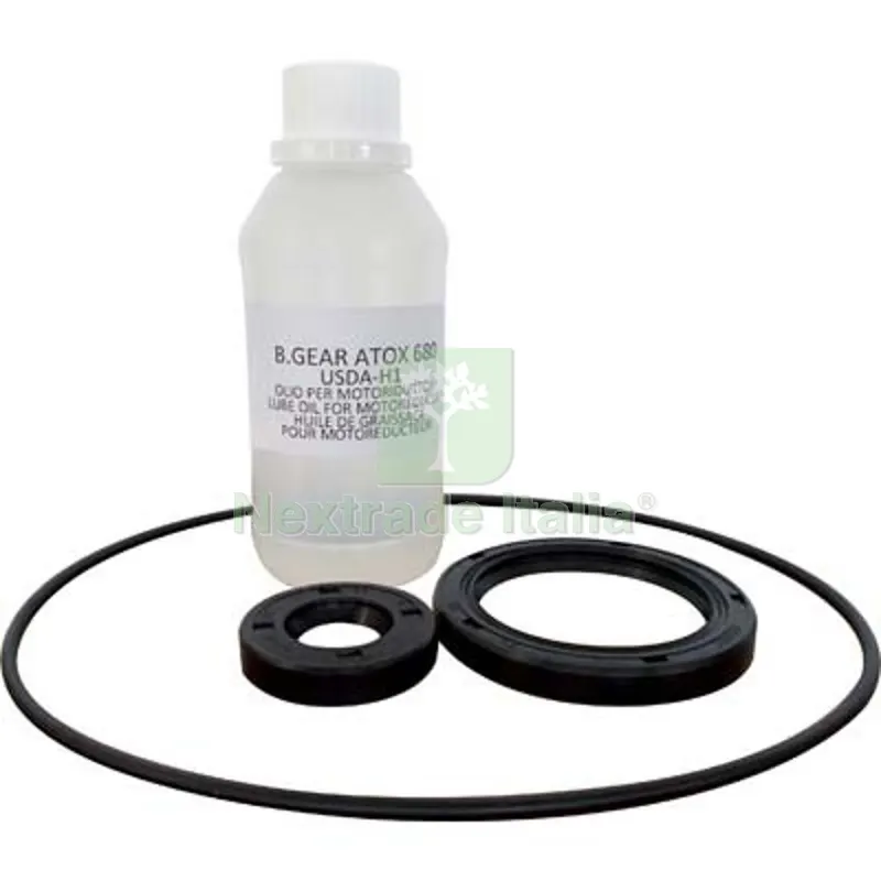 KIT RICAMBIO MOTORIDUTTORE 1002 REBER OLIO + PARAOLIO INT/EST + GUARNIZIONE — Guarnizioni e tenute — rif. FERX.VIR2236245