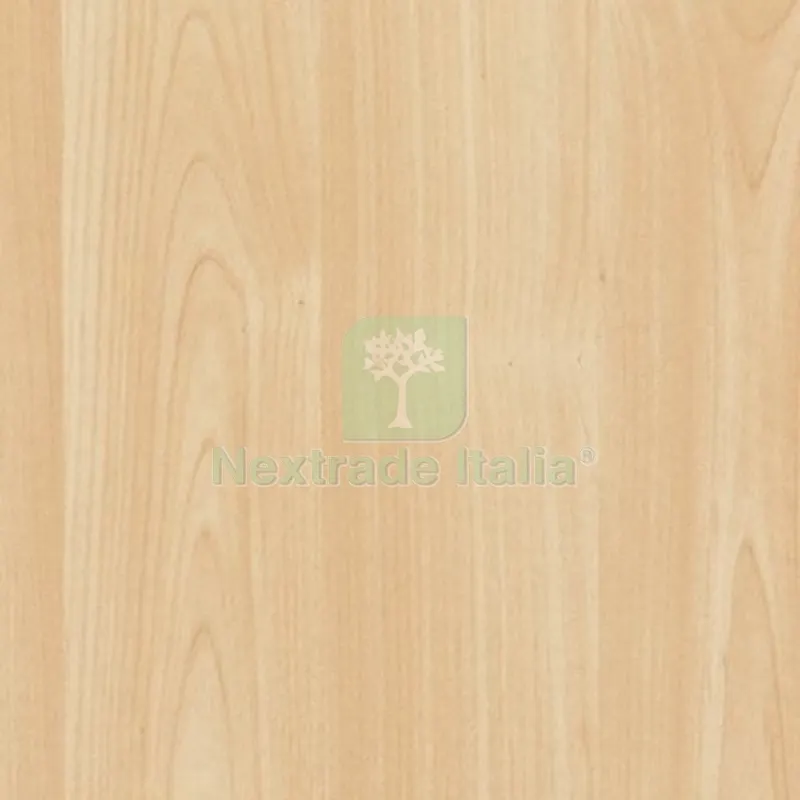 Plastica Adesiva 2660 Home Deco Olmo Sbiancato H.CM 45 L.MT 15 — Casalinghi e organizzazione — rif. FERX.VIR2334828 Plastica Adesiva 2660 Home Deco Olmo Sbiancato H.CM 45 L.MT 15 — Casalinghi e organizzazione — rif. FERX.VIR2334828