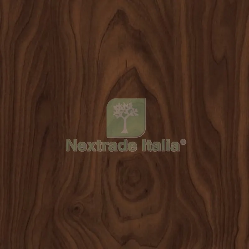 Plastica Adesiva 2953 Home Deco Legno Betulla H.CM 45 L.MT 15 — Casalinghi e organizzazione — rif. FERX.VIR2334881 Plastica Adesiva 2953 Home Deco Legno Betulla H.CM 45 L.MT 15 — Casalinghi e organizzazione — rif. FERX.VIR2334881