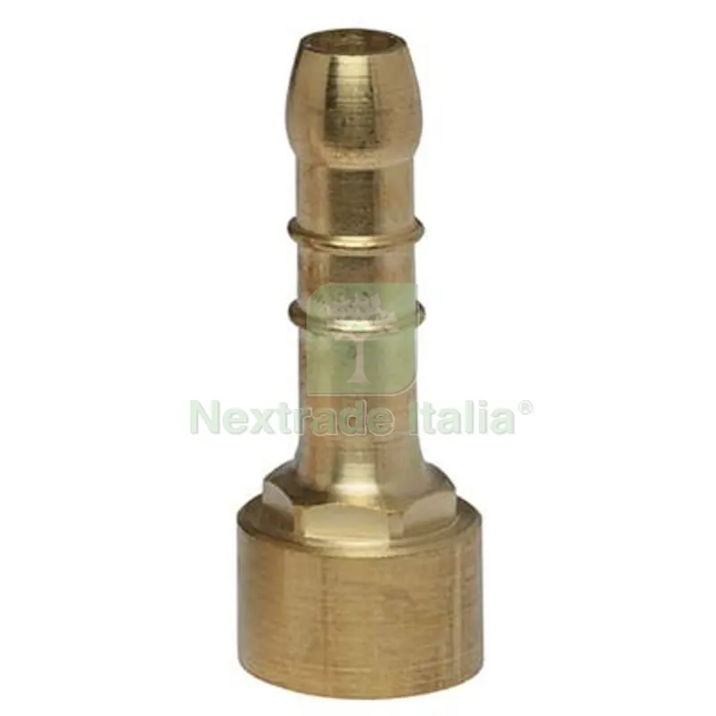 10PZ PORTAGOMMA METANO DRITTO FILETTO FEMMINA OTTONE MM 14 1/2F DIAMETRO MMXPOLLICI 14x1/2" — Tubi e raccordi — rif. FERX.VIR2541076