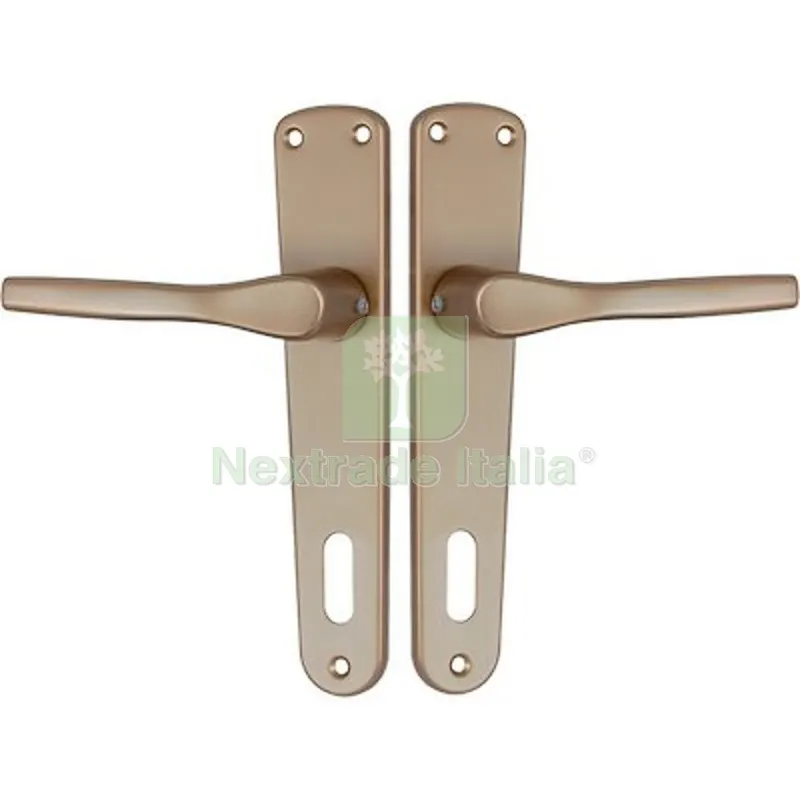 Maniglia Gabry Placca Foro Patent Alluminio Bronzato Placca Q8 I.MM 90 CF=PZ 2 — Maniglie e pomelli — rif. FERX.VIR3300135