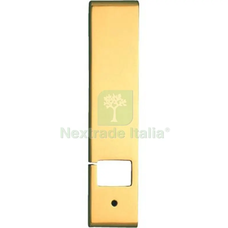 PLACCA AVVOLGITORE INCASSO COTTALI MM 53X240 OTTONE LUCIDO Fin Ottonata MM 240x53 — Interruttori e prese — rif. FERX.VIR3300320 PLACCA AVVOLGITORE INCASSO COTTALI MM 53X240 OTTONE LUCIDO Fin Ottonata MM 240x53 — Interruttori e prese — rif. FERX.VIR3300320