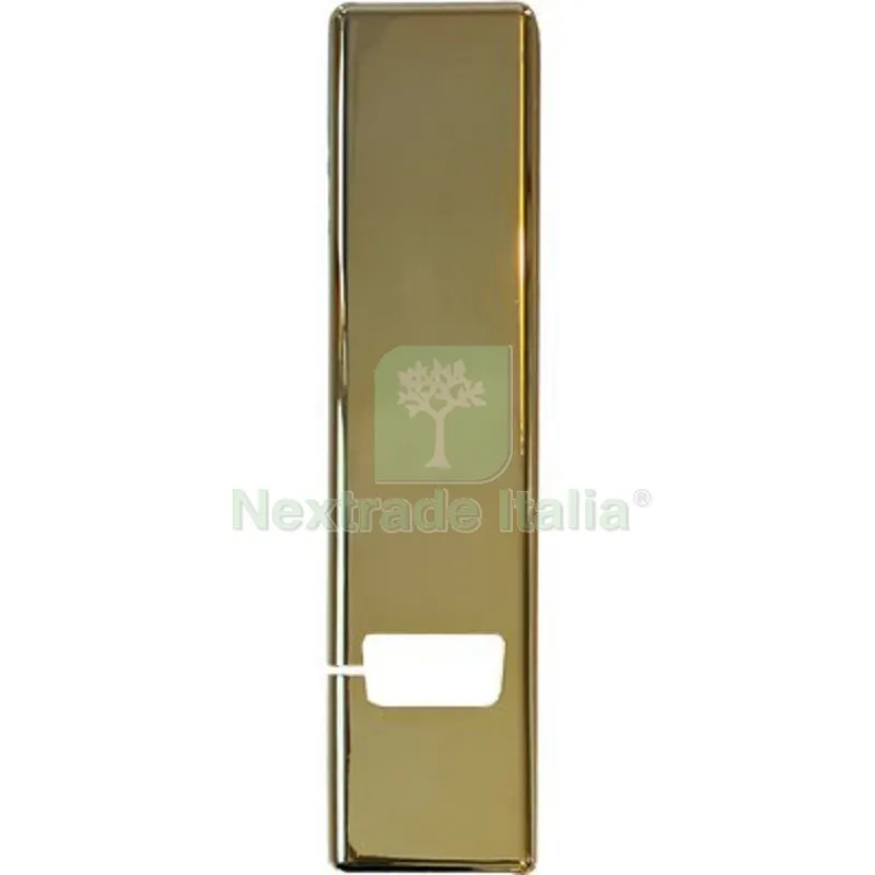 5PZ Placca Avvolgitore Incasso Universale ABS Oro Lucido MM 65X250 Fin Ottonata MM 250x65 — Interruttori e prese — rif. FERX.VIR3300328 5PZ Placca Avvolgitore Incasso Universale ABS Oro Lucido MM 65X250 Fin Ottonata MM 250x65 — Interruttori e prese — rif. FERX.VIR3300328