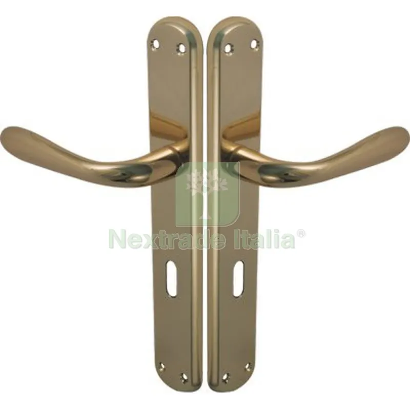Maniglia Goccia Ottone Placca Foro Patent Zama Ottone Lucido Q8 I.MM 70 CF=PZ 2 — Maniglie e pomelli — rif. FERX.VIR3300685