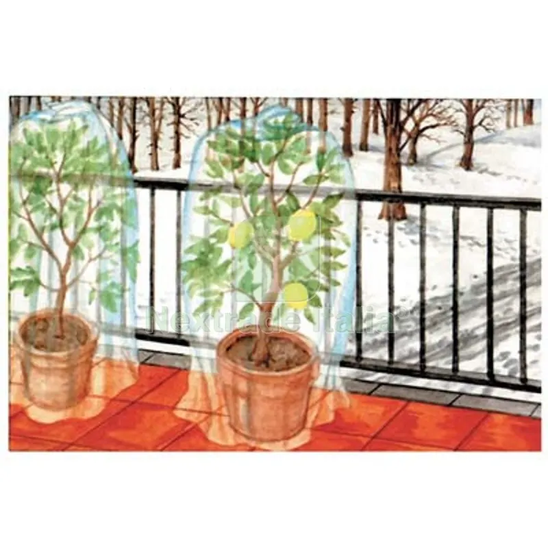 3CF Cappuccio Antigelo Pesante Protezione Piante Stars Bianco GR/MQ 30 CF=PZ 3 CM 100 H.CM 160 CM 100x160 — Lubrificanti e oli — rif. FERX.VIR4216660 3CF Cappuccio Antigelo Pesante Protezione Piante Stars Bianco GR/MQ 30 CF=PZ 3 CM 100 H.CM 160 CM 100x160 — Lubrificanti e oli — rif. FERX.VIR4216660