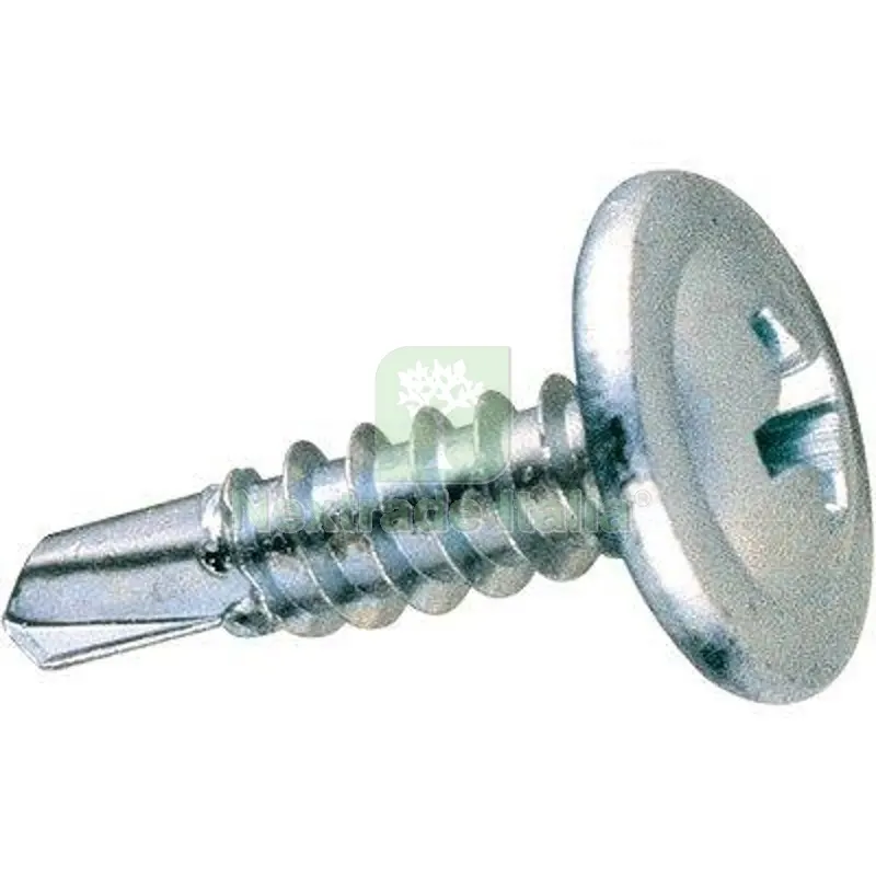 VITE AUTOPERFORANTE TMT RANELLATA AMBROVIT CAVA PH ZINCATA BIANCA MM 4,8X25 CF=PZ 500 — Viti — rif. FERX.VIR4312557 VITE AUTOPERFORANTE TMT RANELLATA AMBROVIT CAVA PH ZINCATA BIANCA MM 4,8X25 CF=PZ 500 — Viti — rif. FERX.VIR4312557