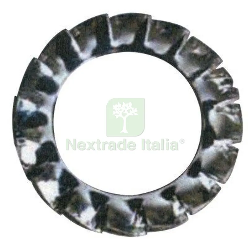 RONDELLA DENTELLATA ZINCATA M 14 CF=PZ 500 — Bulloni, dadi e rondelle — rif. FERX.VIR4360025 RONDELLA DENTELLATA ZINCATA M 14 CF=PZ 500 — Bulloni, dadi e rondelle — rif. FERX.VIR4360025