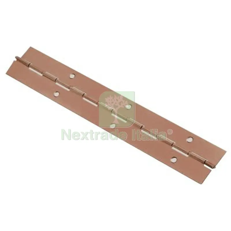 2PZ Cerniera a Nastro 215 Valtoce Acciaio Ottonato S.MM 0,7 MM 32 H.MM 2040 Fin Bronzata MM 40 — Cerniere e cardini — rif. FERX.VIR4383203 2PZ Cerniera a Nastro 215 Valtoce Acciaio Ottonato S.MM 0,7 MM 32 H.MM 2040 Fin Bronzata MM 40 — Cerniere e cardini — rif. FERX.VIR4383203
