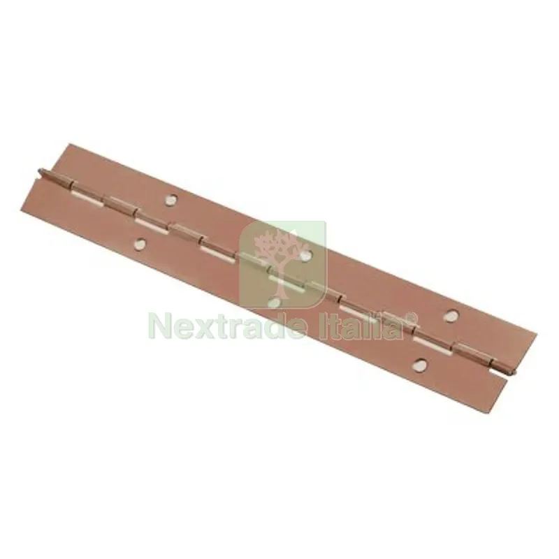 2PZ Cerniera a Nastro 215 Valtoce Acciaio Bronzato S.MM 0,7 MM 40 H.MM 2040 Fin Ottonata — Cerniere e cardini — rif. FERX.VIR4383212