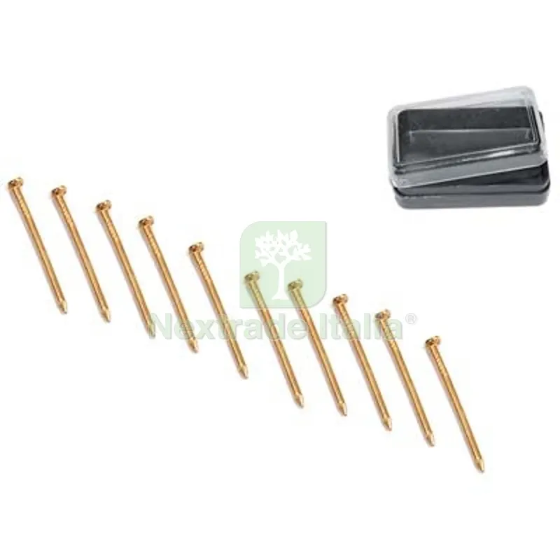 12CF Chiodino x Gancio Quadro AD x Pronty Ferro Ottonato MM 1,4 H.MM 25 CF=PZ 80 — Chiodi e graffe — rif. FERX.VIR4384109 12CF Chiodino x Gancio Quadro AD x Pronty Ferro Ottonato MM 1,4 H.MM 25 CF=PZ 80 — Chiodi e graffe — rif. FERX.VIR4384109