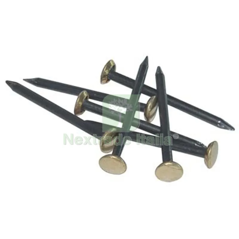 5CF Chiodo Testa Ottone Acciaio CF=PZ 100 MM 20 — Chiodi e graffe — rif. FERX.VIR4384110