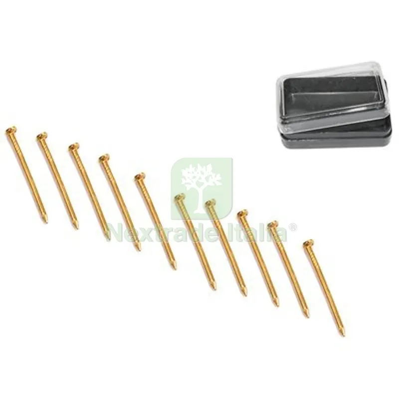 12CF Chiodino x Gancio Quadro AD x Pronty Ferro Ottonato MM 1,4 H.MM 25 CF=PZ 100 — Chiodi e graffe — rif. FERX.VIR4384113 12CF Chiodino x Gancio Quadro AD x Pronty Ferro Ottonato MM 1,4 H.MM 25 CF=PZ 100 — Chiodi e graffe — rif. FERX.VIR4384113