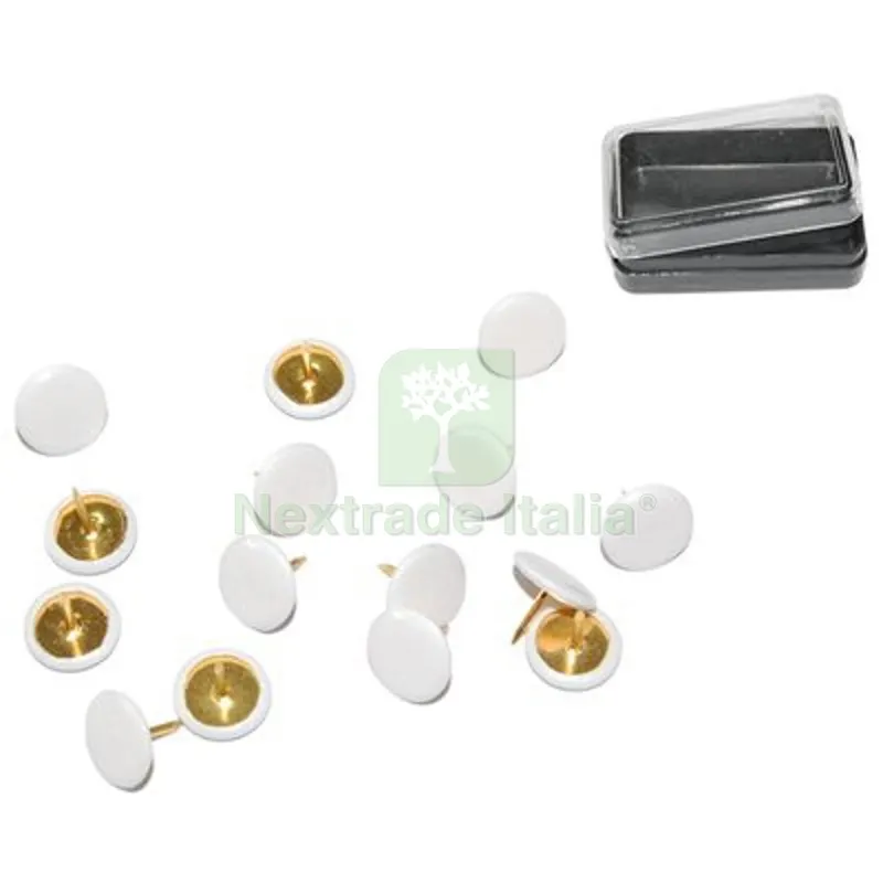 12CF PUNTINA DISEGNO PRONTY OTTONATA TESTA PLASTICA BIANCO CF=PZ 70 — Ferramenta porte e finestre — rif. FERX.VIR4384159 12CF PUNTINA DISEGNO PRONTY OTTONATA TESTA PLASTICA BIANCO CF=PZ 70 — Ferramenta porte e finestre — rif. FERX.VIR4384159