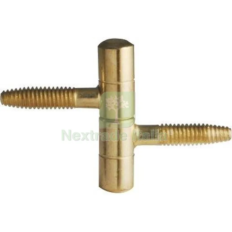 25PZ Cerniera Tipo Anuba Acciaio Ottonato MM 14 Fin Ottonata — Cerniere e cardini — rif. FERX.VIR4388017