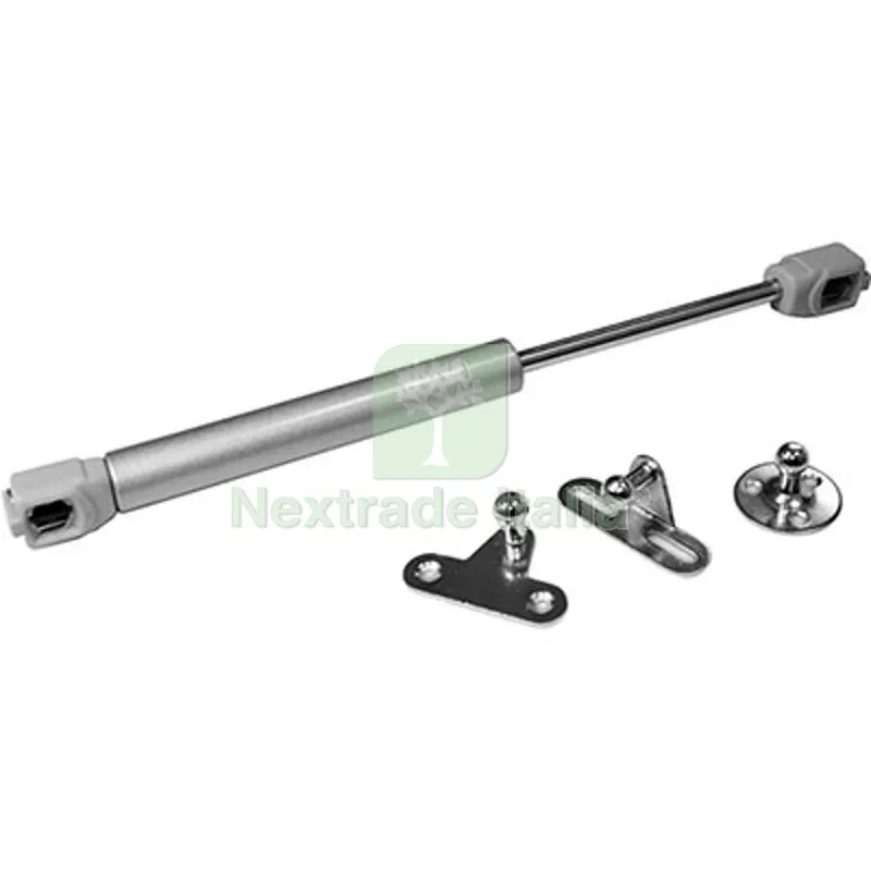 10PZ Pistone a GAS x Anta Ribalta Ferro Grigio FORZA=N 100 + Accessori MM 240 — Ferramenta per legno e mobili — rif. FERX.VIR4443337 10PZ Pistone a GAS x Anta Ribalta Ferro Grigio FORZA=N 100 + Accessori MM 240 — Ferramenta per legno e mobili — rif. FERX.VIR4443337