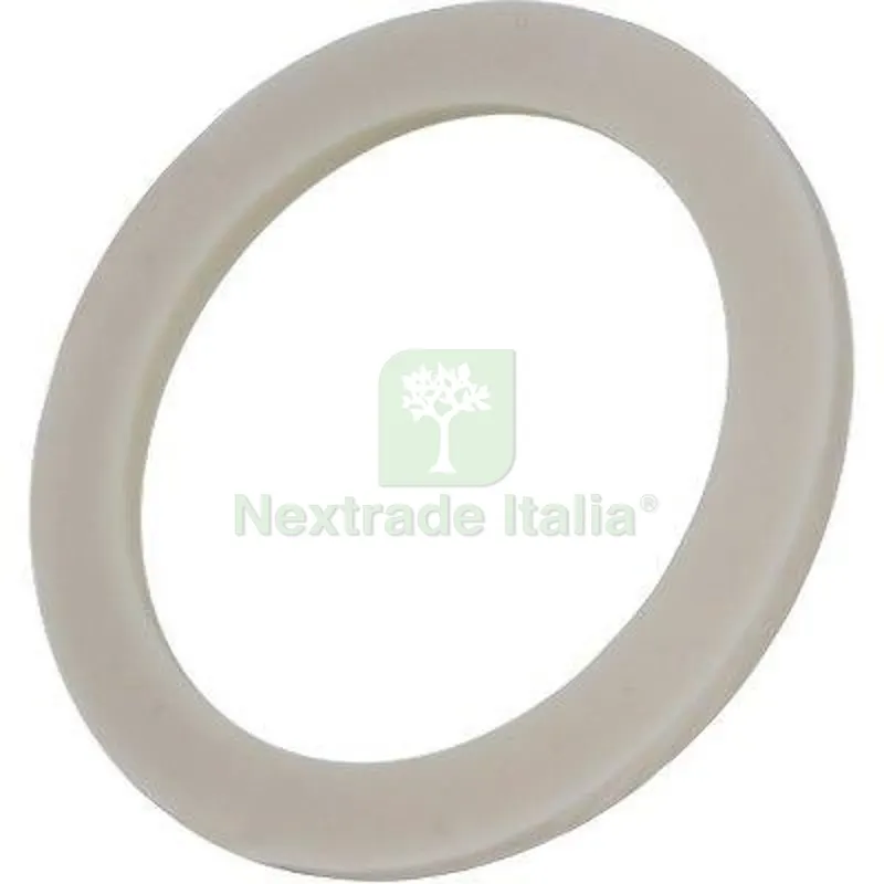 10PZ Guarnizione Raccordo Cisterna Pallettizzata MM 60 — Guarnizioni e tenute — rif. FERX.VIR6080242