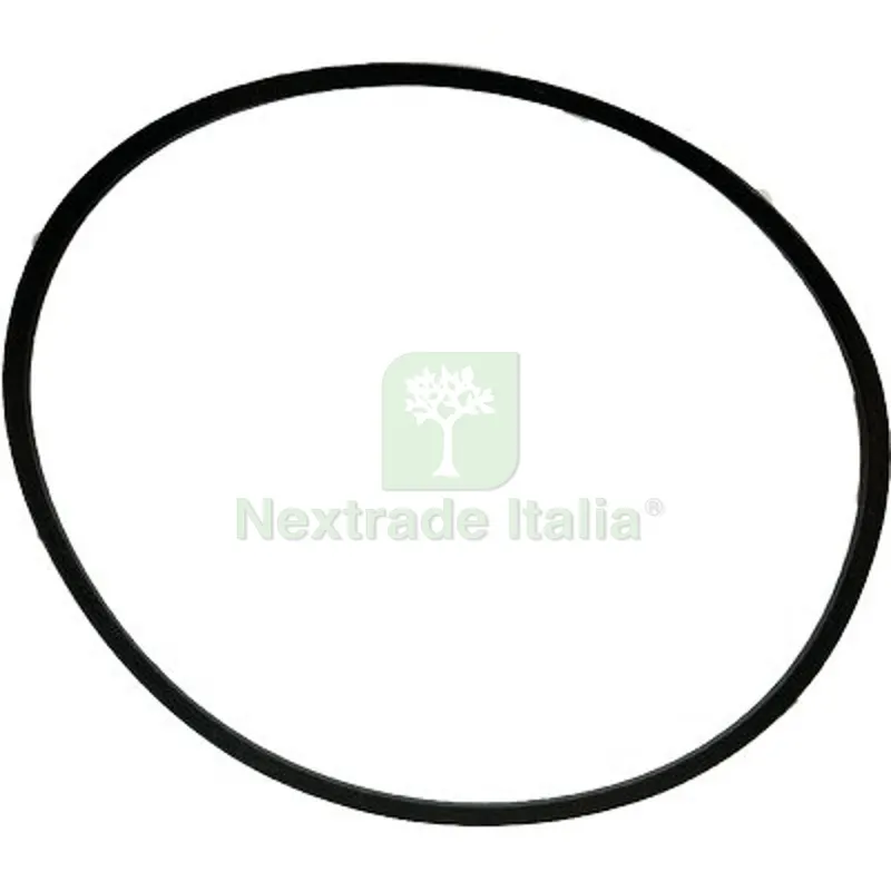 CINGHIA RASAERBA MOTORE LEONARDO 53SBS — Attrezzi da giardino a motore — rif. FERX.VIR6225661 CINGHIA RASAERBA MOTORE LEONARDO 53SBS — Attrezzi da giardino a motore — rif. FERX.VIR6225661