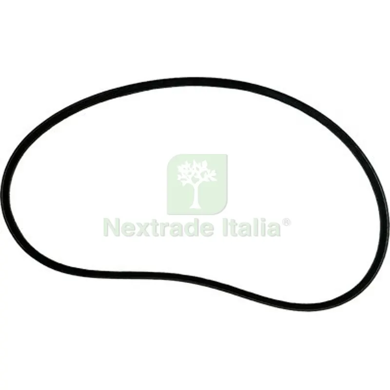 CINGHIA DECESPUGLIATORE CARRELLATO PROFYMAX 56 — Attrezzi da giardino a motore — rif. FERX.VIR6225692 CINGHIA DECESPUGLIATORE CARRELLATO PROFYMAX 56 — Attrezzi da giardino a motore — rif. FERX.VIR6225692