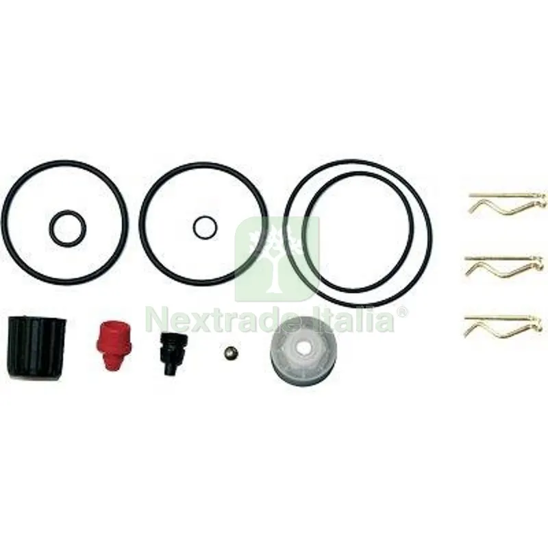 Kit Ricambi Pompa Rosy 3507C GDM — Irrigazione — rif. FERX.VIR6323059