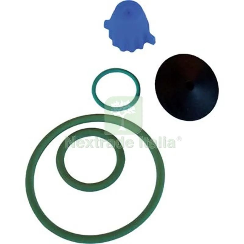 Kit Ricambi Pompa Eros Viton dal Degan — Irrigazione — rif. FERX.VIR6324145 Kit Ricambi Pompa Eros Viton dal Degan — Irrigazione — rif. FERX.VIR6324145