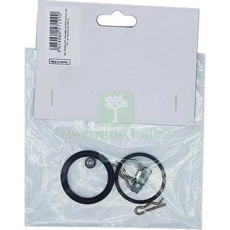 KIT RICAMBI POMPA DIANA VENERE DAL DEGAN N° 4 — Irrigazione — rif. FERX.VIR6324149 KIT RICAMBI POMPA DIANA VENERE DAL DEGAN N° 4 — Irrigazione — rif. FERX.VIR6324149