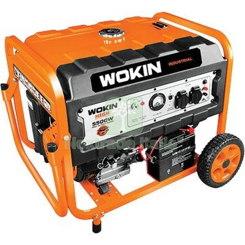 Generatore Corrente 791255 Wokin 4T KW 5,5/5,0 Monofase — Marchi utensili elettrici — rif. FERX.VIR7006051 Generatore Corrente 791255 Wokin 4T KW 5,5/5,0 Monofase — Marchi utensili elettrici — rif. FERX.VIR7006051