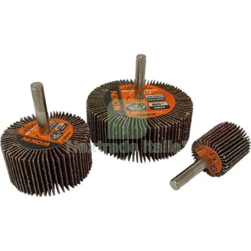 5PZ RUOTA ABRASIVA LAMELLARE 776 WOKIN MM 50X25 GRANA 120 G.MM 6 776650 GR 120 — Punte, frese e dischi — rif. FERX.VIR7007027