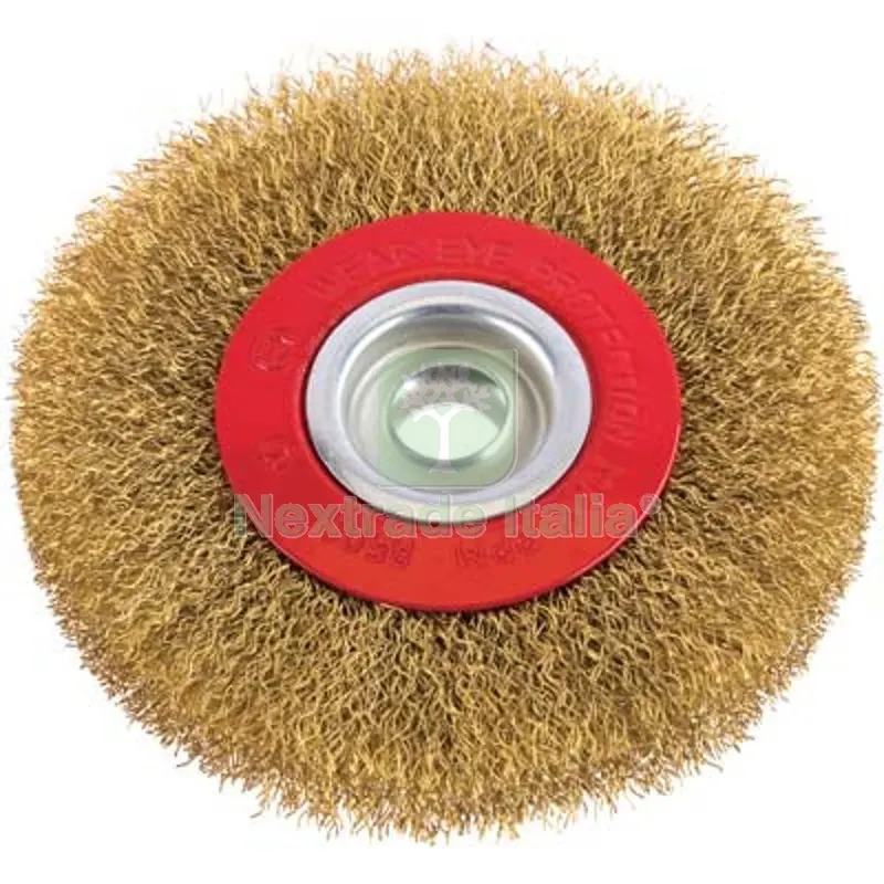 5PZ SPAZZOLA ACCIAIO CIRCOLARE + FORO PG 486.00 MM 100 F.MM 13 Ø Mm 100x13 — Punte, frese e dischi — rif. FERX.VIR7137721 5PZ SPAZZOLA ACCIAIO CIRCOLARE + FORO PG 486.00 MM 100 F.MM 13 Ø Mm 100x13 — Punte, frese e dischi — rif. FERX.VIR7137721