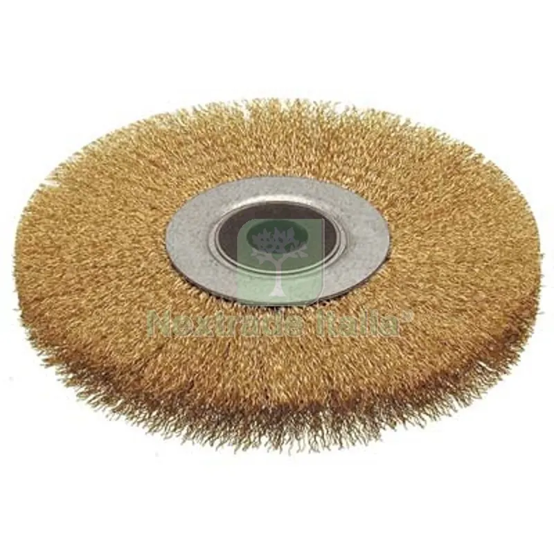 SPAZZOLA ACCIAIO CIRCOLARE + FORO CEBO MM 200X20 F.MM 20 MM 200x20x20 — Punte, frese e dischi — rif. FERX.VIR7137726 SPAZZOLA ACCIAIO CIRCOLARE + FORO CEBO MM 200X20 F.MM 20 MM 200x20x20 — Punte, frese e dischi — rif. FERX.VIR7137726