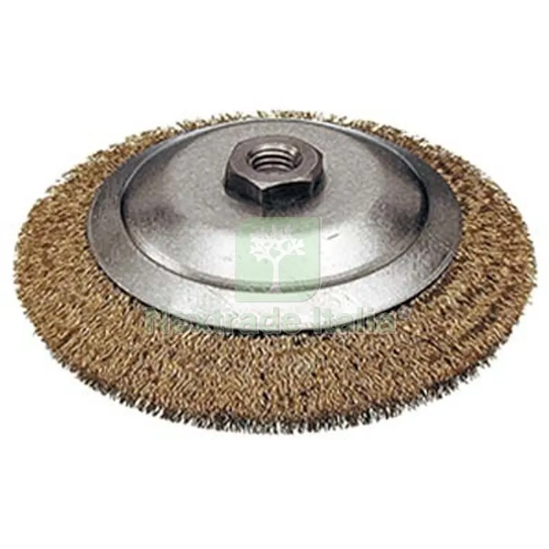 2PZ Spazzola Acciaio Conica + Filetto Cebo MM 120 F.M14 — Accessori e ricambi utensili elettrici — rif. FERX.VIR7137761