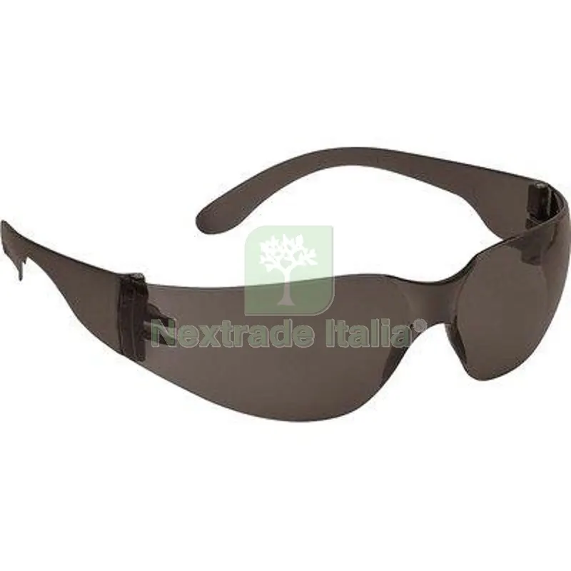 10PZ Occhiale Sicurezza Ecovision PC Antigraffio Lente Grigio Scuro Colore Grigio — Calzature antinfortunistiche — rif. FERX.VIR7146337 10PZ Occhiale Sicurezza Ecovision PC Antigraffio Lente Grigio Scuro Colore Grigio — Calzature antinfortunistiche — rif. FERX.VIR7146337