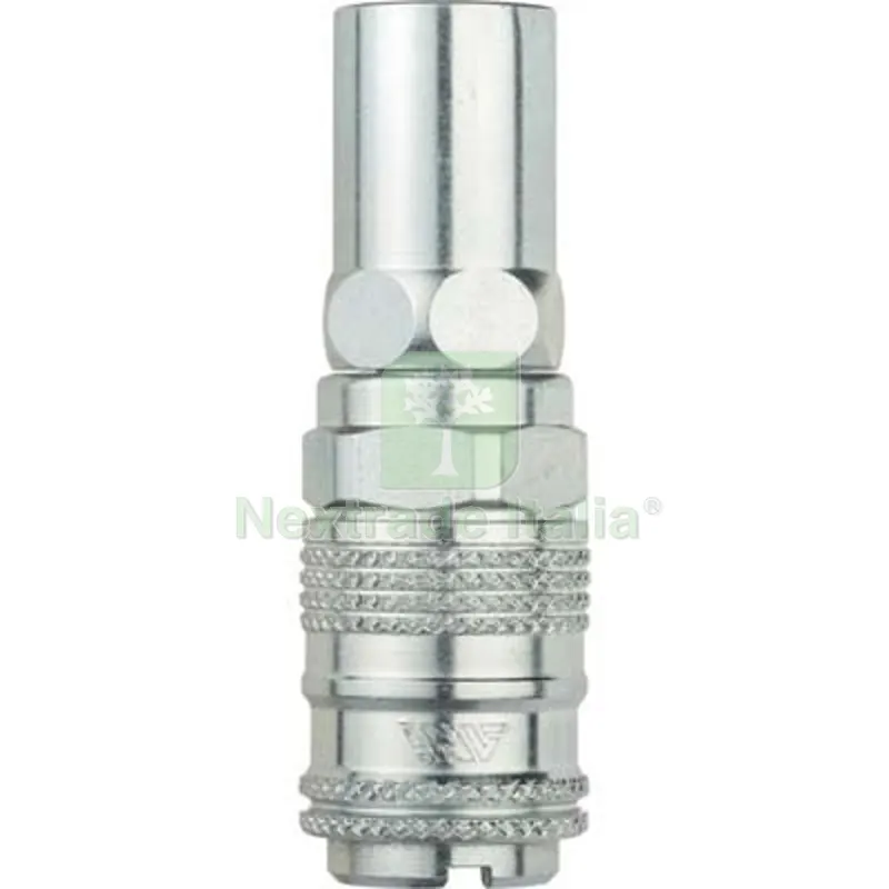 5PZ RUBINETTO RAPIDO PORTAGOMMA AC 16/AM-BM ANI MM 8X17 — Tubi e raccordi — rif. FERX.VIR7327571