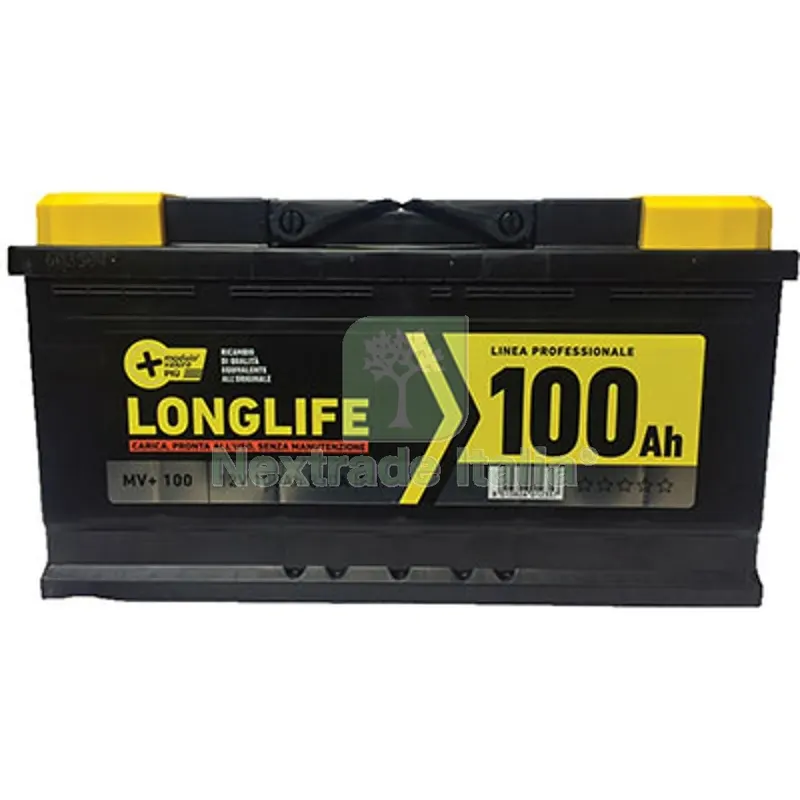 Batteria Auto Modulo Valore + AH 100 DX Spunto 810A MM 353X175 H.MM 190 a 830A MM 353x190x175 — Batterie e caricabatterie — rif. FERX.VIR7340016 Batteria Auto Modulo Valore + AH 100 DX Spunto 810A MM 353X175 H.MM 190 a 830A MM 353x190x175 — Batterie e caricabatterie — rif. FERX.VIR7340016