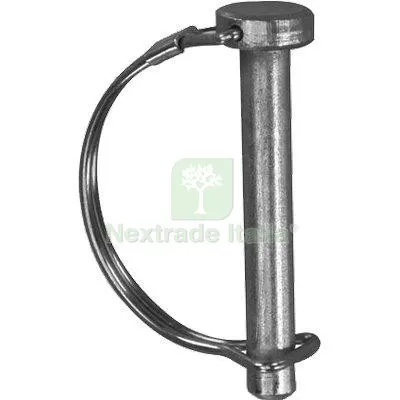 50PZ SPINOTTO TONDO MM 10X80 L MM 80 — Minuteria metallica — rif. FERX.VIR7373269 50PZ SPINOTTO TONDO MM 10X80 L MM 80 — Minuteria metallica — rif. FERX.VIR7373269