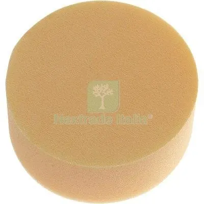TAMPONE X LUCIDATURA 339 PG 339.67 FISSAGGIO VELCROSO MM 125 — Adesivi e sigillanti — rif. FERX.VIR7427705 TAMPONE X LUCIDATURA 339 PG 339.67 FISSAGGIO VELCROSO MM 125 — Adesivi e sigillanti — rif. FERX.VIR7427705