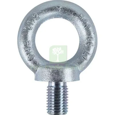 5PZ Golfare Maschio Zincato 8040EZ Robur DIN580 M14 O.MM 30 M M14 — Ganci, moschettoni e anelli — rif. FERX.VIR7542014