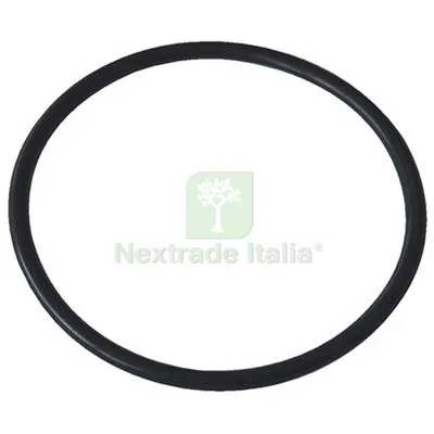 GUARNIZIONE ORING NBR OR 5 MM 5,7X1,9 CF=PZ 100 — Guarnizioni e tenute — rif. FERX.VIR7702039 GUARNIZIONE ORING NBR OR 5 MM 5,7X1,9 CF=PZ 100 — Guarnizioni e tenute — rif. FERX.VIR7702039
