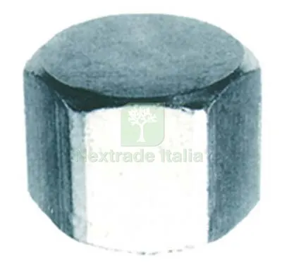 20PZ TAPPO F ESAGONALE ACCIAIO ZINCATO 300Z OTER 1/2F DIAMETRO POLLICI 1/2" — Tubi e raccordi — rif. FERX.VIR7763004 20PZ TAPPO F ESAGONALE ACCIAIO ZINCATO 300Z OTER 1/2F DIAMETRO POLLICI 1/2" — Tubi e raccordi — rif. FERX.VIR7763004