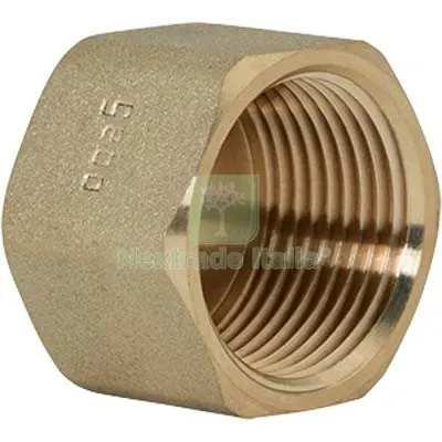 5PZ TAPPO F OTTONE 300 GEBO 1"F DIAMETRO POLLICI 1" — Tubi e raccordi — rif. FERX.VIR7764073