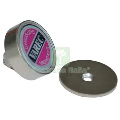12PZ CRICCHETTO MAGNETICO A PASTICCA RPV VAREC MM 22 KG 3,0 + PERNO + INCONTRO — Cinghie e tiranti a cricchetto — rif. FERX.VIR7956907