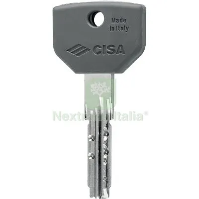 5PZ Chiave Punzonata Cisa 00670.10 Originale Ottone Nichelato Mat Ottone — Serrature e cilindri — rif. FERX.VIR8200370 5PZ Chiave Punzonata Cisa 00670.10 Originale Ottone Nichelato Mat Ottone — Serrature e cilindri — rif. FERX.VIR8200370