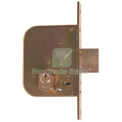 2PZ Serratura Cancello Infilare 601450 Iseo B.Q Zinc F.MM 22 C.SFACC M2 E.MM 45 Fin Tropicalizzata — Serrature e cilindri — rif. FERX.VIR8203002