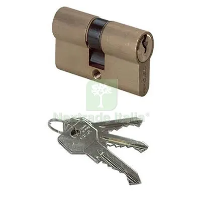 CILINDRO SAGOMATO 0G300 HAND CISA OTTONE CHIAVI 3 CAMMA DIN MM 100 40+60 MM+MM 40+60 — Serrature e cilindri — rif. FERX.VIR8190035